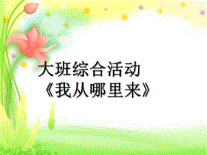 大班综合《我从哪里来》PPT课件教案微课件.ppt