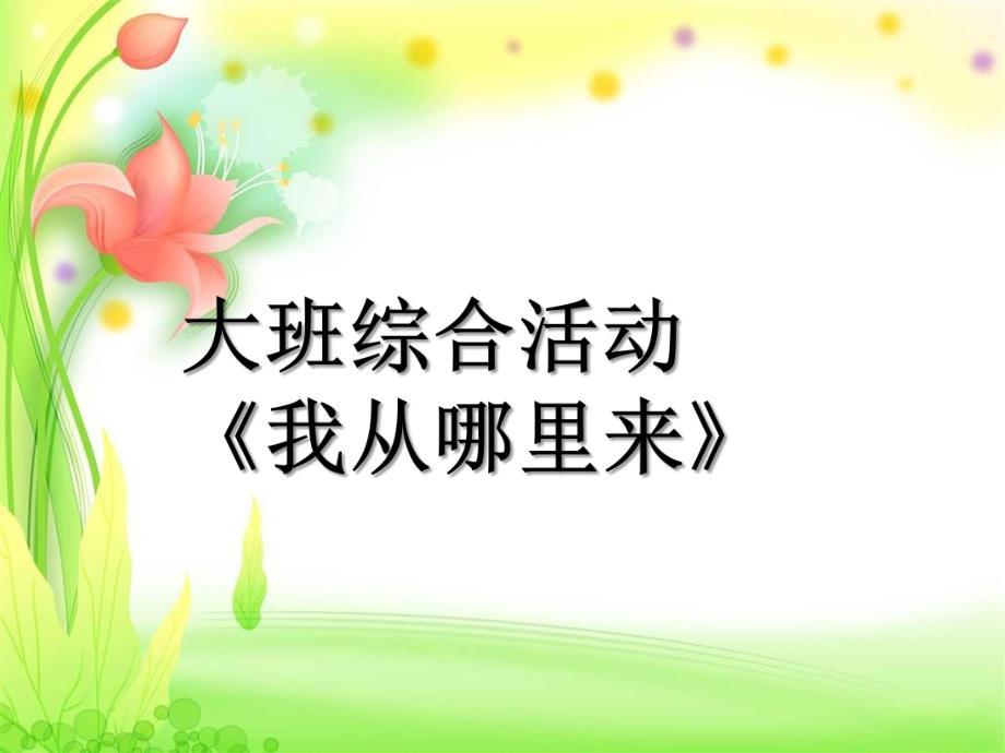 大班综合《我从哪里来》PPT课件教案微课件.ppt_第1页