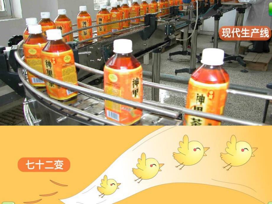 大班科学活动《宝物大比拼》PPT课件教案.ppt_第2页