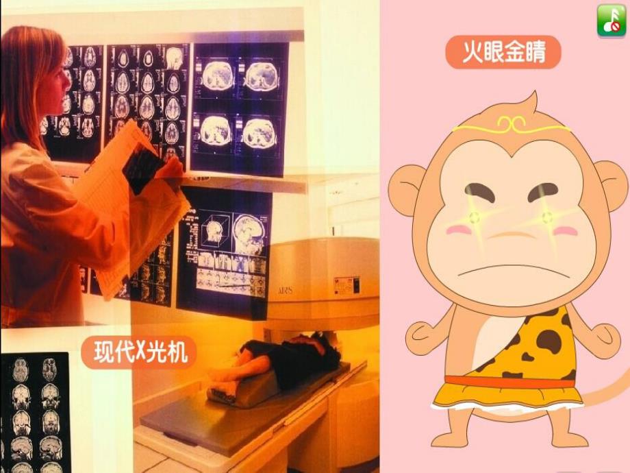 大班科学活动《宝物大比拼》PPT课件教案.ppt_第3页