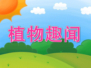 大班科学《植物趣闻》PPT课件教案PPT课件.ppt