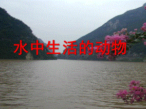 大班科学《水里的动物》PPT课件教案大班科学：水里的动物.ppt