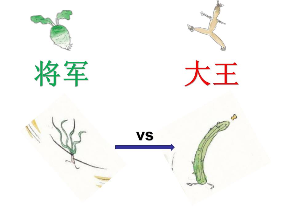 蒋静大班语言《一园青菜成了精》all版本1 视频专用PPT.ppt_第3页