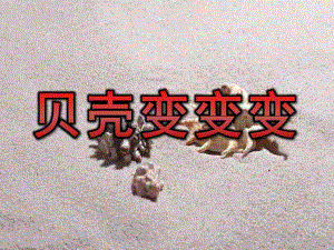 小班美术艺术活动《贝壳变变变》PPT课件教案贝壳变变变.ppt