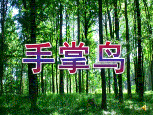 中班美术《手掌鸟》PPT课件教案手掌鸟.ppt