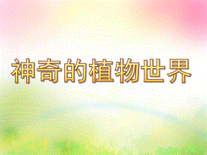 大班社会《神奇的植物世界》PPT课件教案神奇的植物世界.ppt