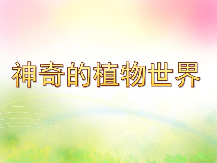 大班社会《神奇的植物世界》PPT课件教案神奇的植物世界.ppt_第1页