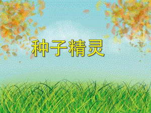 大班科学《种子精灵》PPT课件教案视频PPT课件.ppt