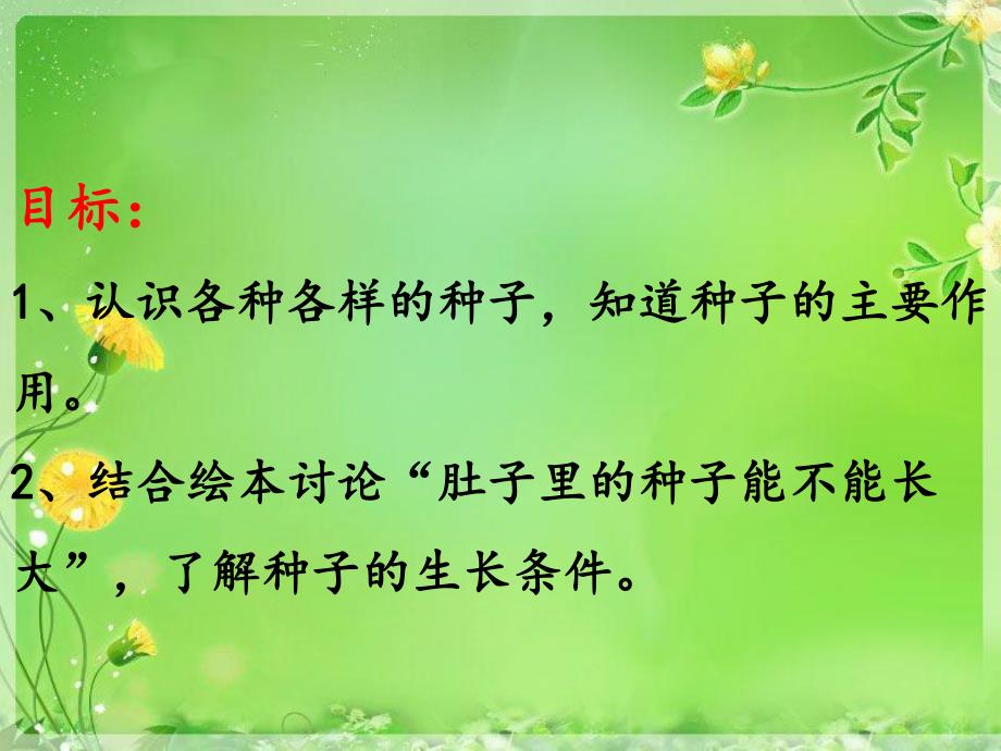 大班科学《种子精灵》PPT课件教案视频PPT课件.ppt_第2页