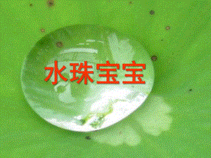 小班语言儿歌《水珠宝宝》PPT课件教案水珠宝宝.ppt