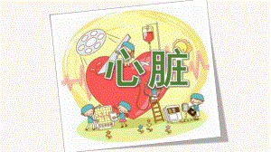 大班科学《心脏》PPT课件教案幼儿园科普2--心脏.ppt