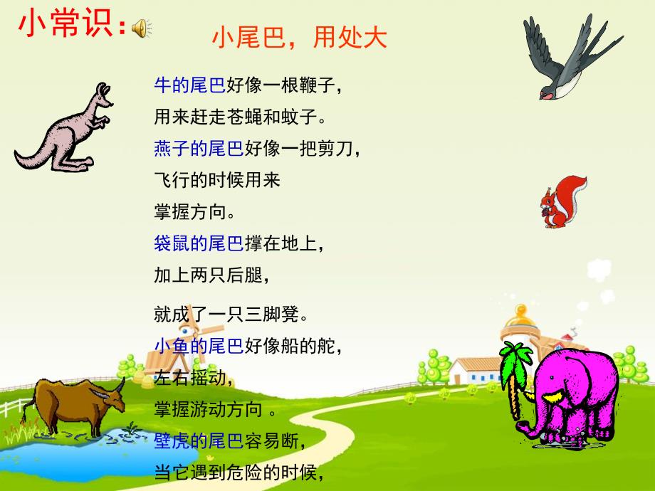 大班语言《比尾巴》PPT课件教案比尾巴.ppt_第2页