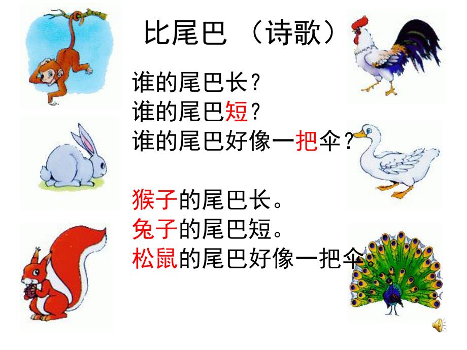 大班语言《比尾巴》PPT课件教案比尾巴.ppt_第3页