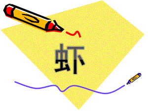大班美术欣赏《虾》PPT课件教案幼儿园-大班欣赏-虾.ppt