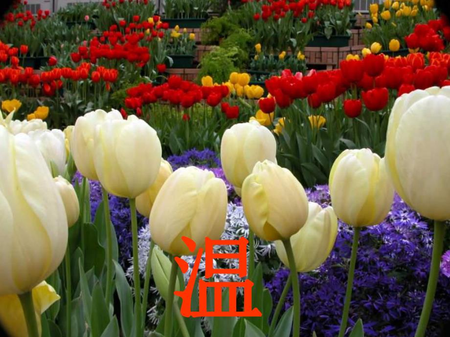 赠送其他版本PPT参考大班科学有用的温度计.ppt_第3页