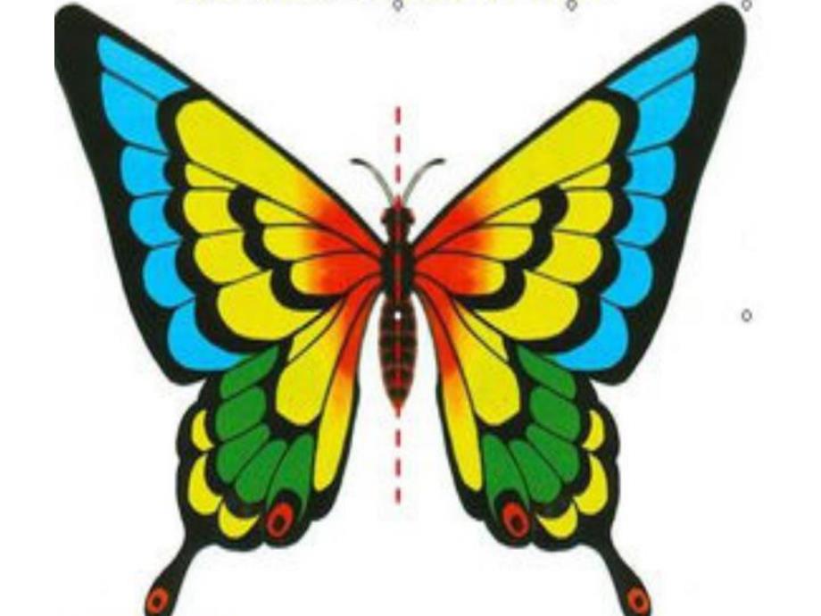 中班数学《有趣的对称图形》PPT课件教案幼儿园有趣的对称图形.ppt_第2页