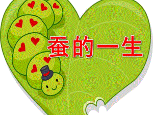 大班科学活动《蚕的一生》PPT课件教案大班科学课件《蚕的一生》PPT课件.ppt
