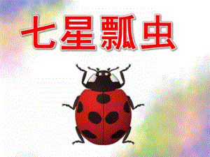 大班手工《七星瓢虫》PPT课件教案(大班手工课)七星瓢虫.ppt