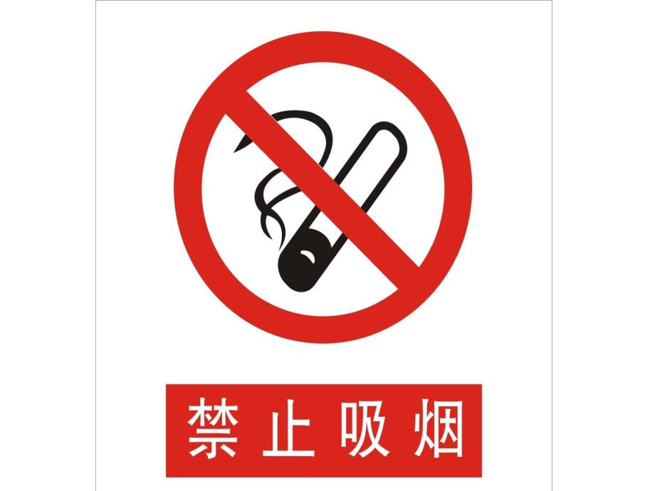 大班《小小安全员》PPT课件教案小小安全员课件.ppt_第2页