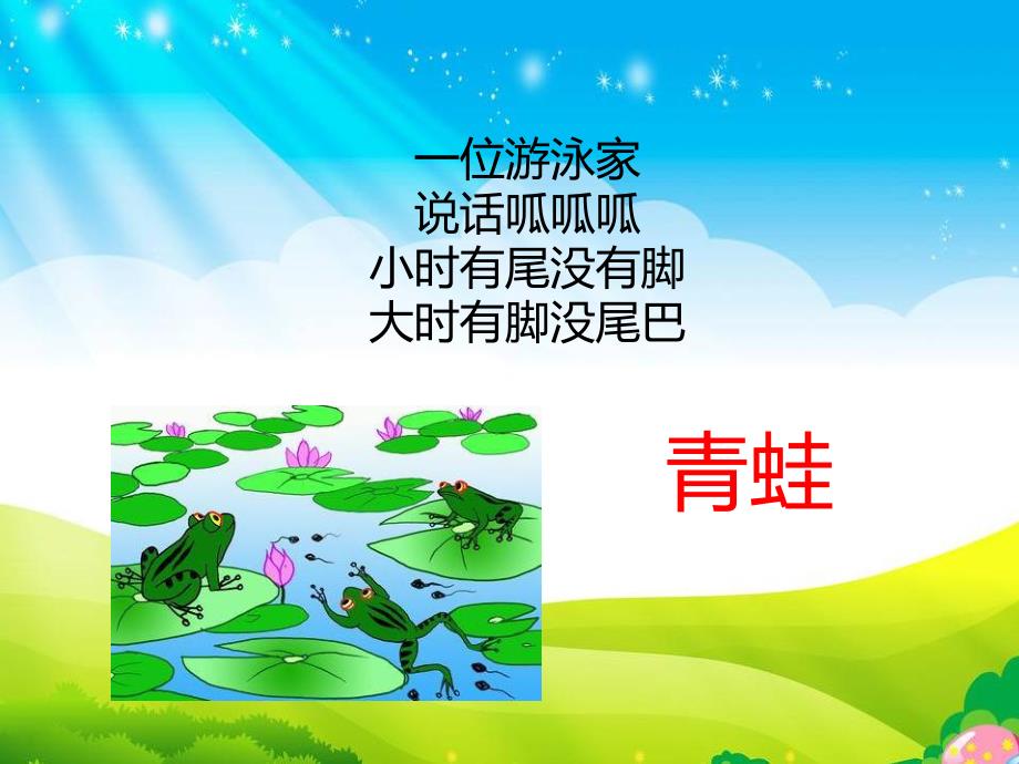 幼儿园动物儿歌《小青蛙》PPT课件教案配音音乐PPT课件.ppt_第2页