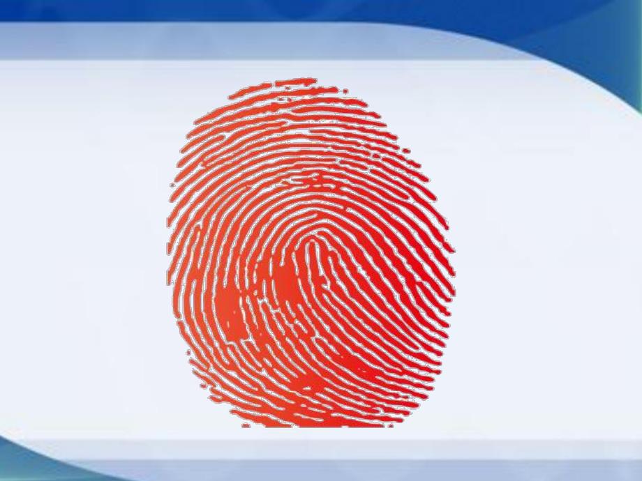 大班美术活动《指纹添画》PPT课件教案大班美术：指纹添画.10.31.ppt_第2页