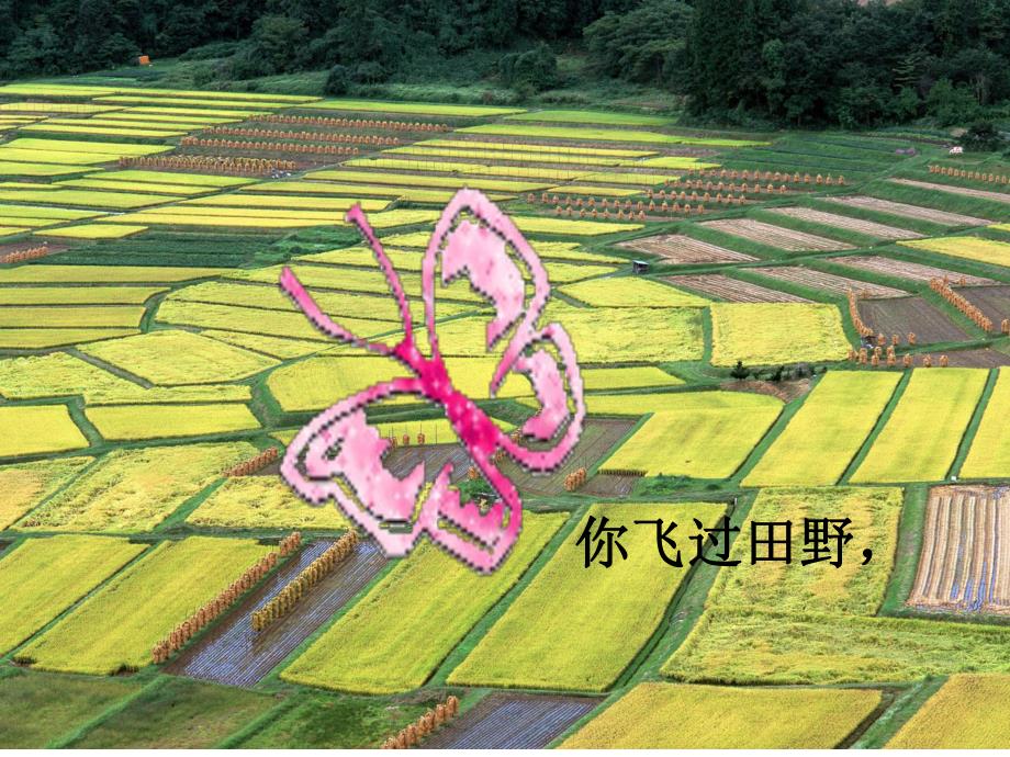 大班语言《会飞的花朵》PPT课件会飞的花朵(大班语言活动.ppt_第3页