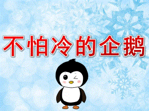 中班科学活动《不怕冷的企鹅》PPT课件教案PPT课件.ppt