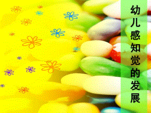 幼儿感知觉的发展PPT幼儿感知觉的发展.ppt