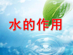 幼儿园水的作用PPT课件教案.ppt