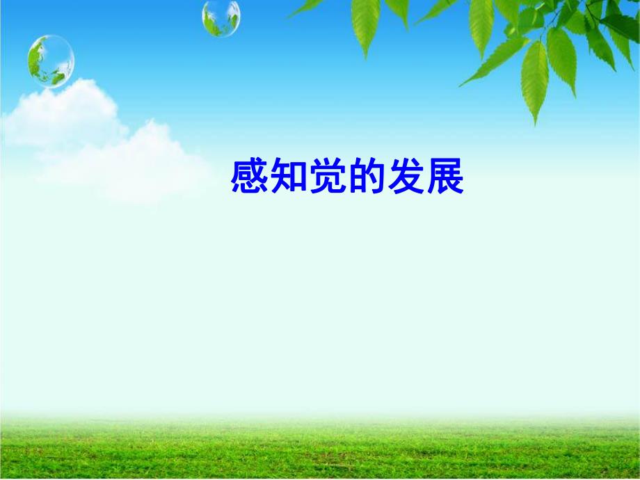 幼儿园幼儿认知发展特点与教育PPT课件幼儿认知发展特点与教育'.ppt_第2页