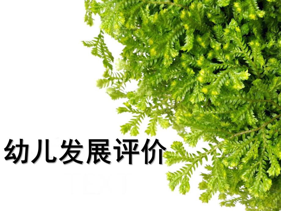 幼儿园发展评价PPT课件幼儿发展评价.ppt_第1页