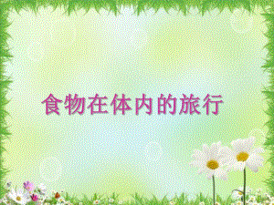 课件和音乐《食物在体内的旅行》PPT课件.ppt