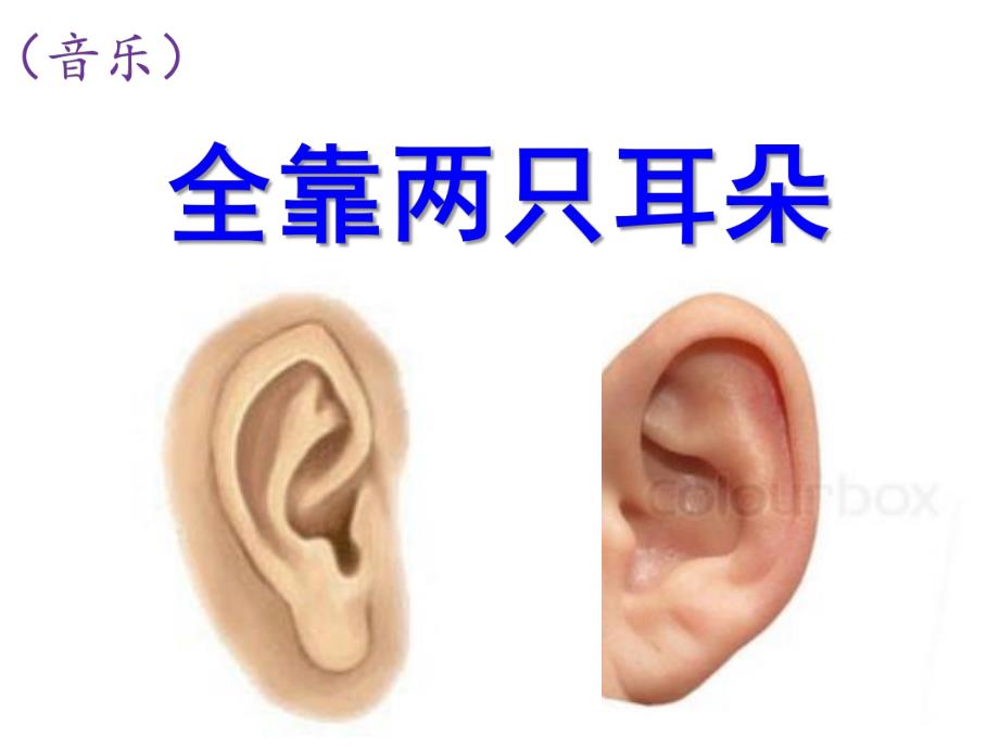 托班音乐《全靠两只耳朵》PPT课件教案.ppt_第1页