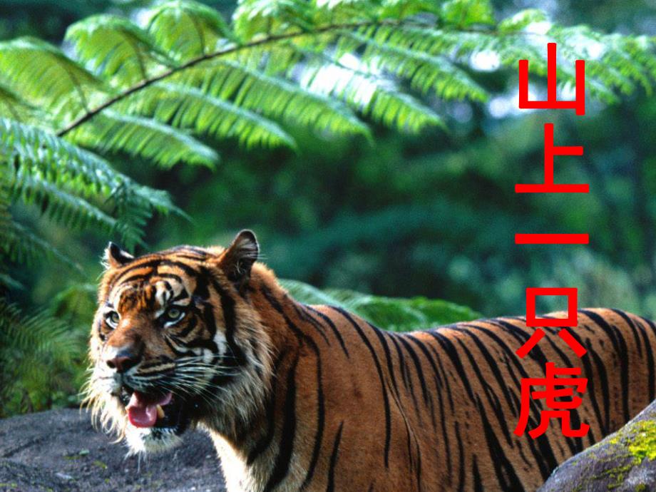 幼儿园儿歌《数一数》PPT课件儿歌《数一数》.ppt_第2页