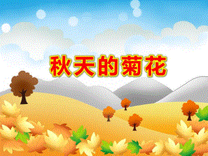 天的菊花PPT课件教案图片PPT课件.ppt