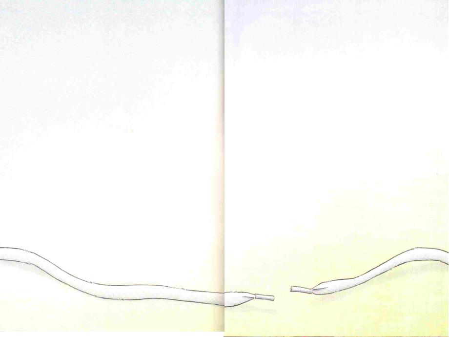 大班绘本《贝尼都会干什么》PPT课件教案大班绘本《贝尼都会干什么》课件.ppt_第2页