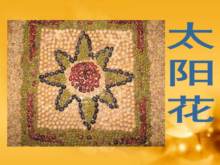 大班教学课件《种子贴画》PPT课件教案幼儿园大班教学课件ppt—种子贴画.ppt_第3页