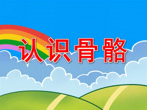 大班《认识骨骼》PPT课件教案认识骨骼.ppt