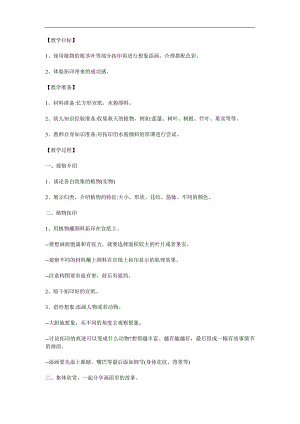 小班美术《拓印画》PPT课件教案参考教案.docx