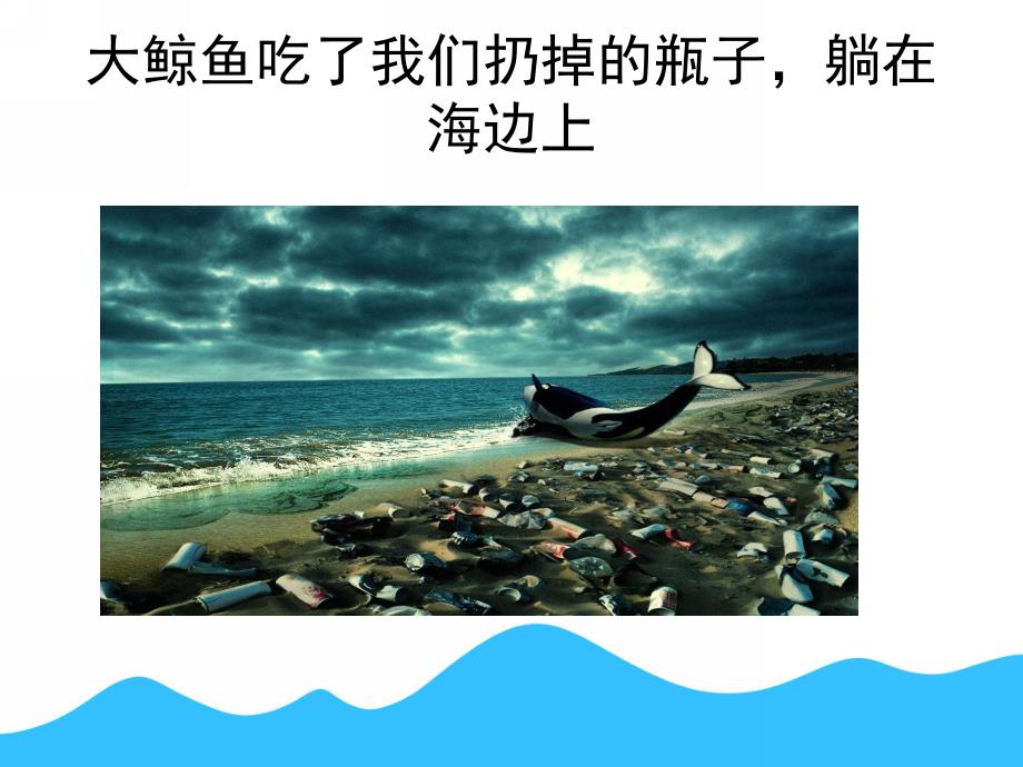 中班科学《保护海洋环境与海洋动物》PPT课件PPT课件.ppt_第3页
