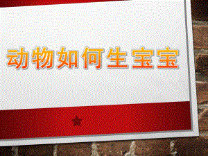 大班科学《动物如何生宝宝》PPT课件教案动物如何生宝宝.ppt