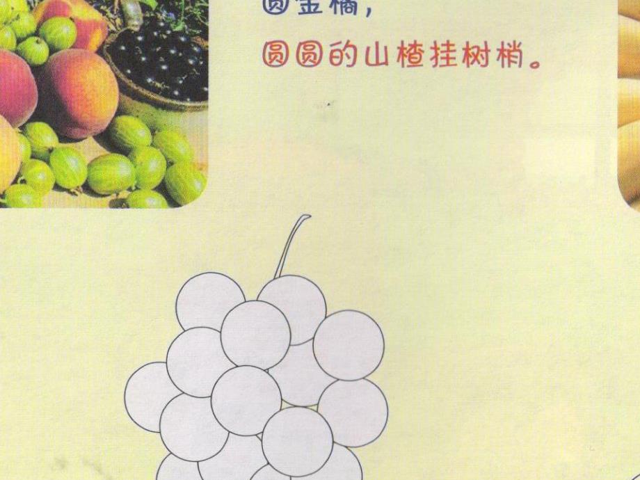 小班数学《圆》PPT课件小班数学《圆》PPT课件.ppt_第3页