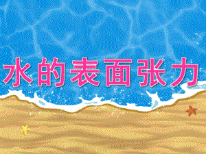大班科学《水的表面张力》PPT课件教案PPT课件.ppt