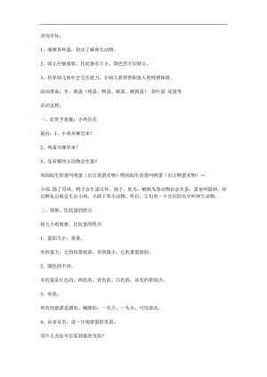 中班科学活动《各种各样的蛋》PPT课件教案参考教案.docx