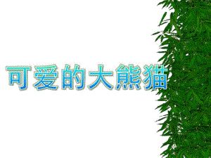 幼儿园《可爱的大熊猫》PPT课件教案1366767292.ppt