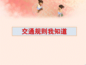 大班综合《交通规则我知道》PPT课件教案交通规则我知道.pptx