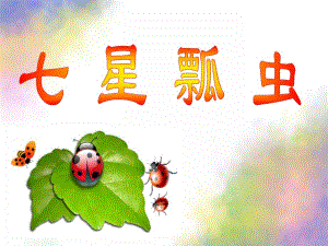 幼儿园美术《七星瓢虫》PPT课件教案音频美术七星瓢虫(1).ppt