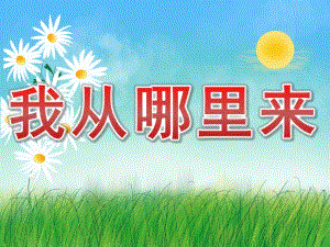大班《我从哪里来》PPT课件教案PPT课件.pptx