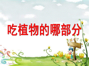 幼儿园《吃植物的哪部分》PPT课件《吃植物的哪部分》.ppt