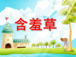 大班语言活动《含羞草》PPT课件教案配音音乐PPT课件.pptx